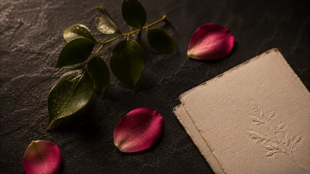 Vegan, Allergen-Free, Gluten-Free: Decoding Skincare Certifications